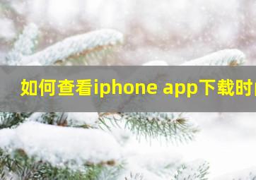 如何查看iphone app下载时间